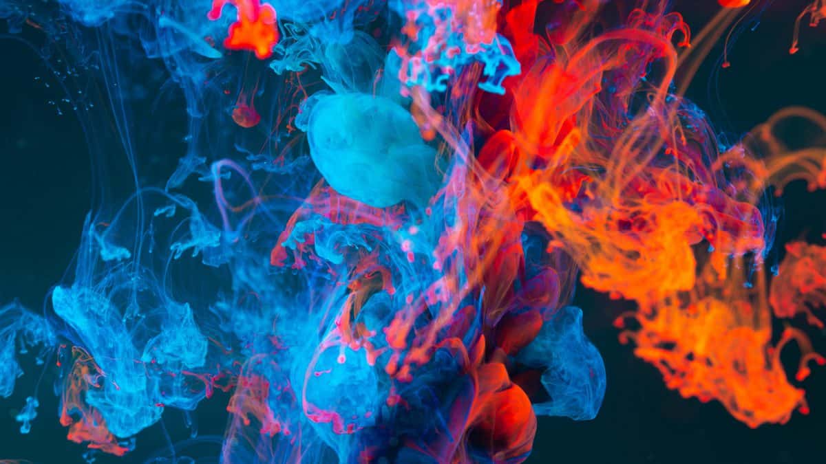 The Basics of Color Theory in Design